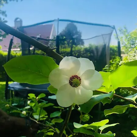 Nydelig Hus, Ons 2024 וילה