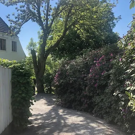 Vila Nydelig Hus, Ons 2024 *