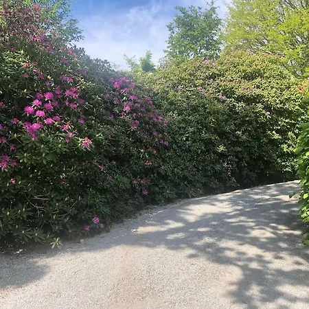 וילה Nydelig Hus, Ons 2024